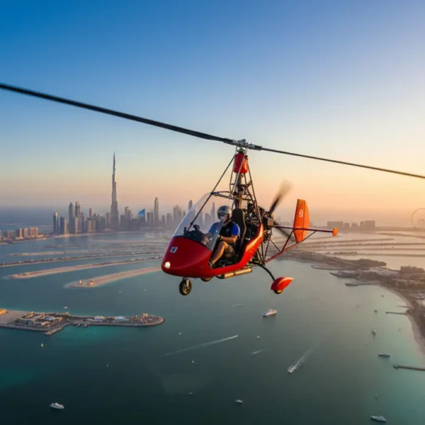 Gyrocopter